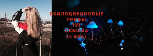 прущий лед Гусь-Хрустальный