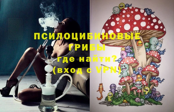 МДМА Гусев