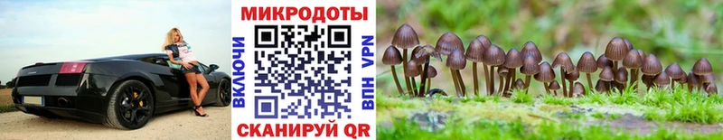 Галлюциногенные грибы прущие грибы  Кисловодск 