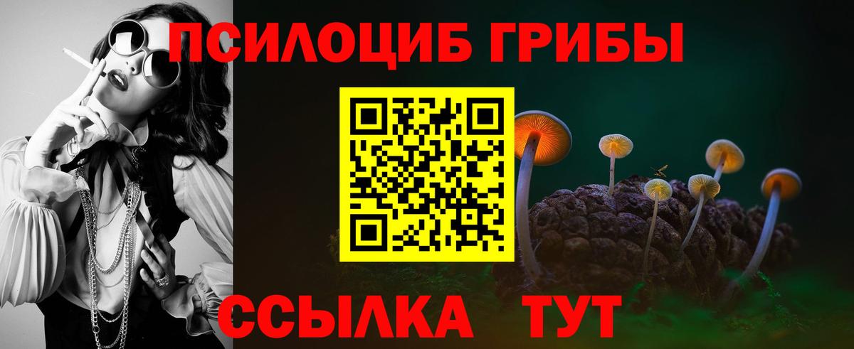 Кисловодск  Галлюциногенные грибы мухоморы  Вход с VPN 
